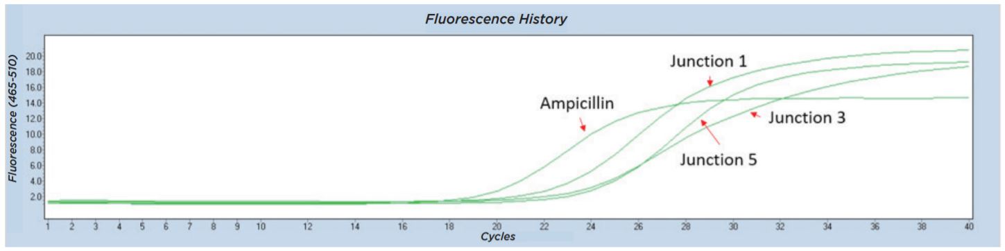 fig7 Nanoliter Scale DNA Assembly Utilizing the NEBuilder HiFi Cloning Kit with the Echo 525 Liquid Handler