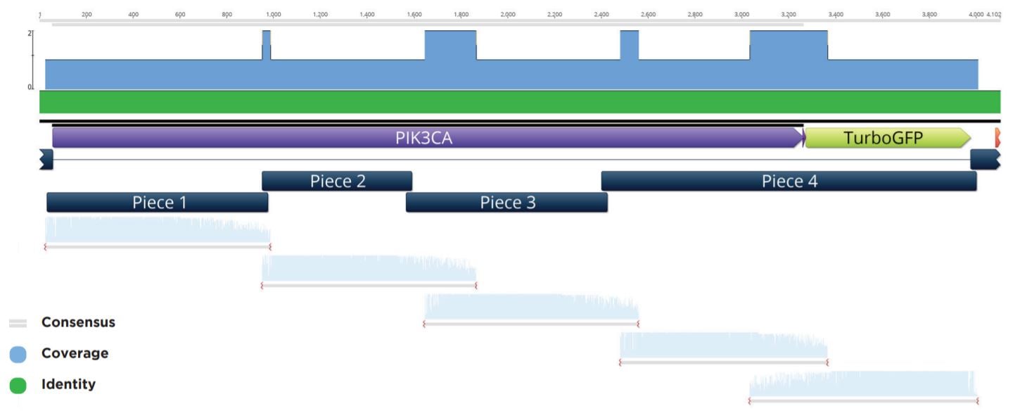 fig8 Nanoliter Scale DNA Assembly Utilizing the NEBuilder HiFi Cloning Kit with the Echo 525 Liquid Handler