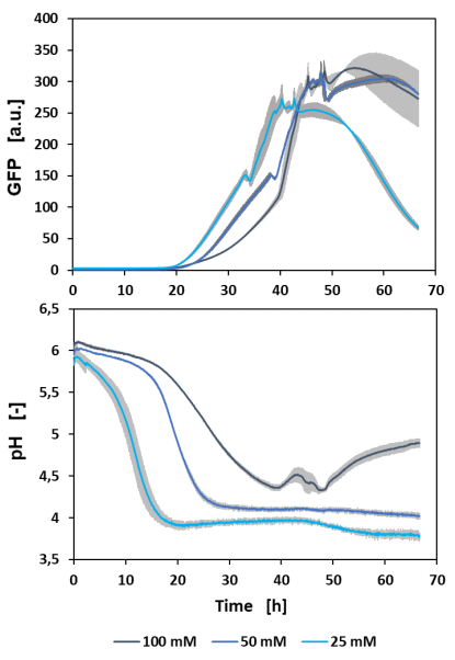 Figure 1: Batch cultivation of H. polymorpha RB11 FMD-GFP with online measurements of GFP and pH. Biological triplicates were cultivated at 1200 rpm in a FlowerPlate®. The mean values (blue line) with the standard deviation (grey area) were plotted against the cultivation time.