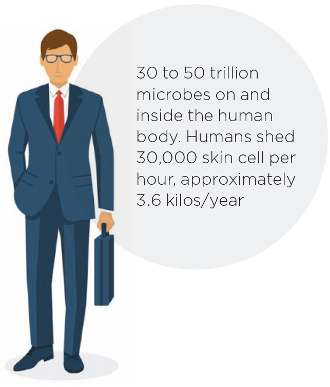 30 to 50 trillion microbes on and inside the human body. Humans shed 30,000 skin cell per hour, approximately 3.6 kilos/year