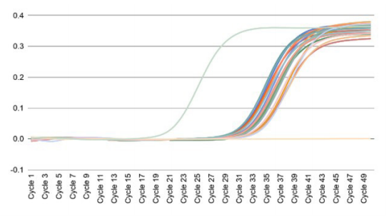 Figure 3C