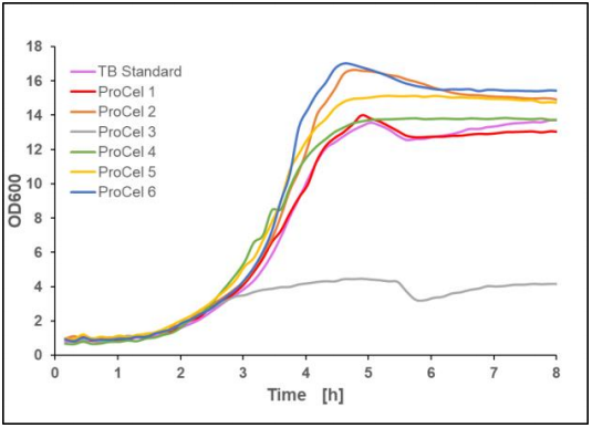 Figure 6: Recalculated optical density of E.coli BL21(DE3) pET-28a(+) EcFbFP in different TB-like media, mean value of two biological replicates, 37 °C, 1400 rpm, 35 % oxygen in headspace, 800 µL filling volume