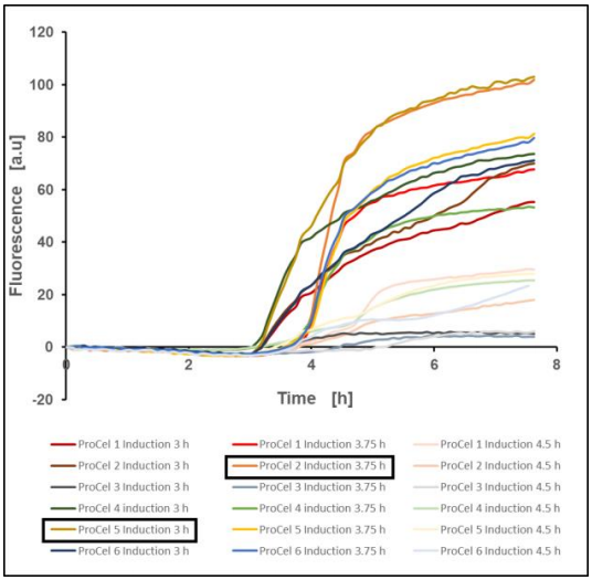 Figure 8: EcFbFP production of E. coli BL21(DE3) pET-28a(+) EcFbFP in different TB media after induction at fixed time points, mean value of two biological replicates, 37 °C, 1400 rpm, 35 % oxygen in headspace, 800 µL filling volume