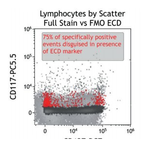 Figure 47