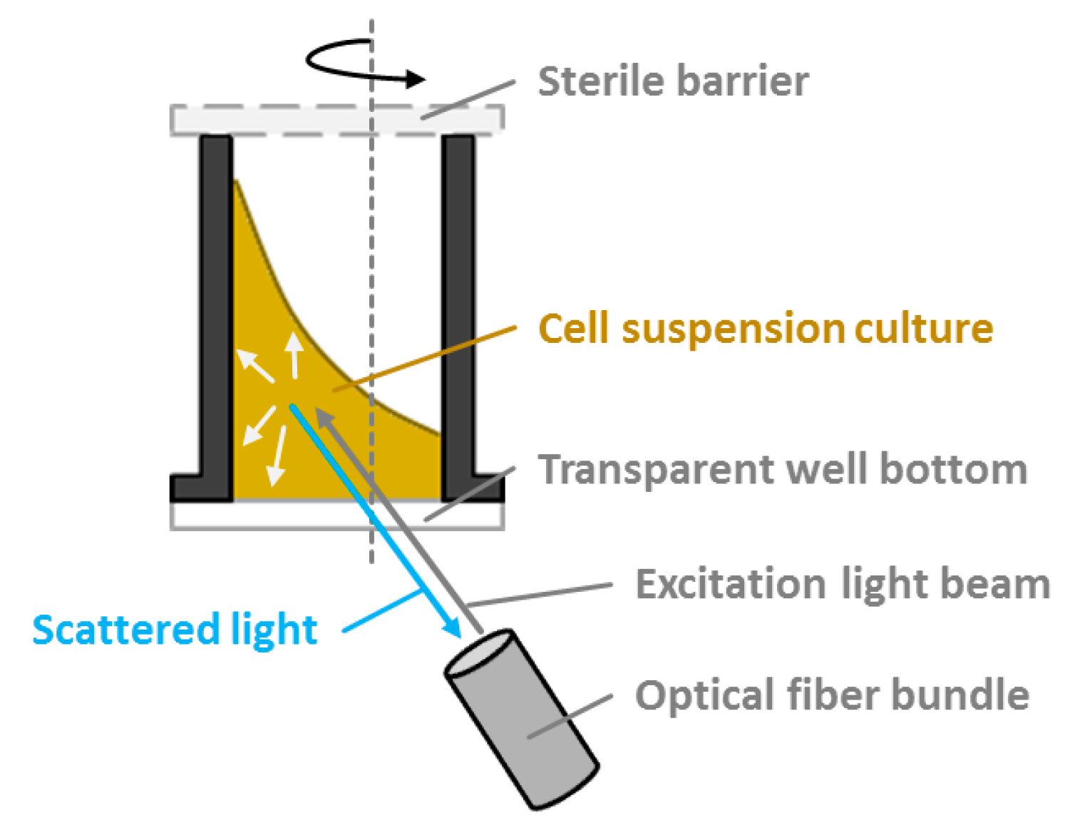 Figure 1 Measuring principle of scattered light