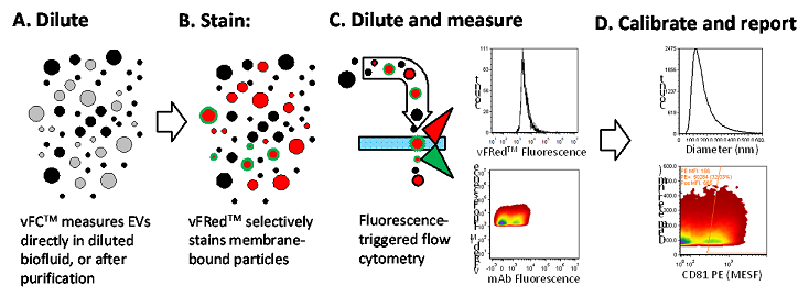 figure1_small