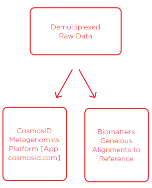 Data Analysis and Bioinformatics