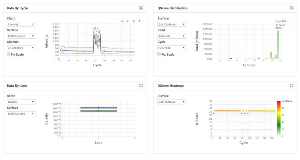 MiSeq Run Metrics