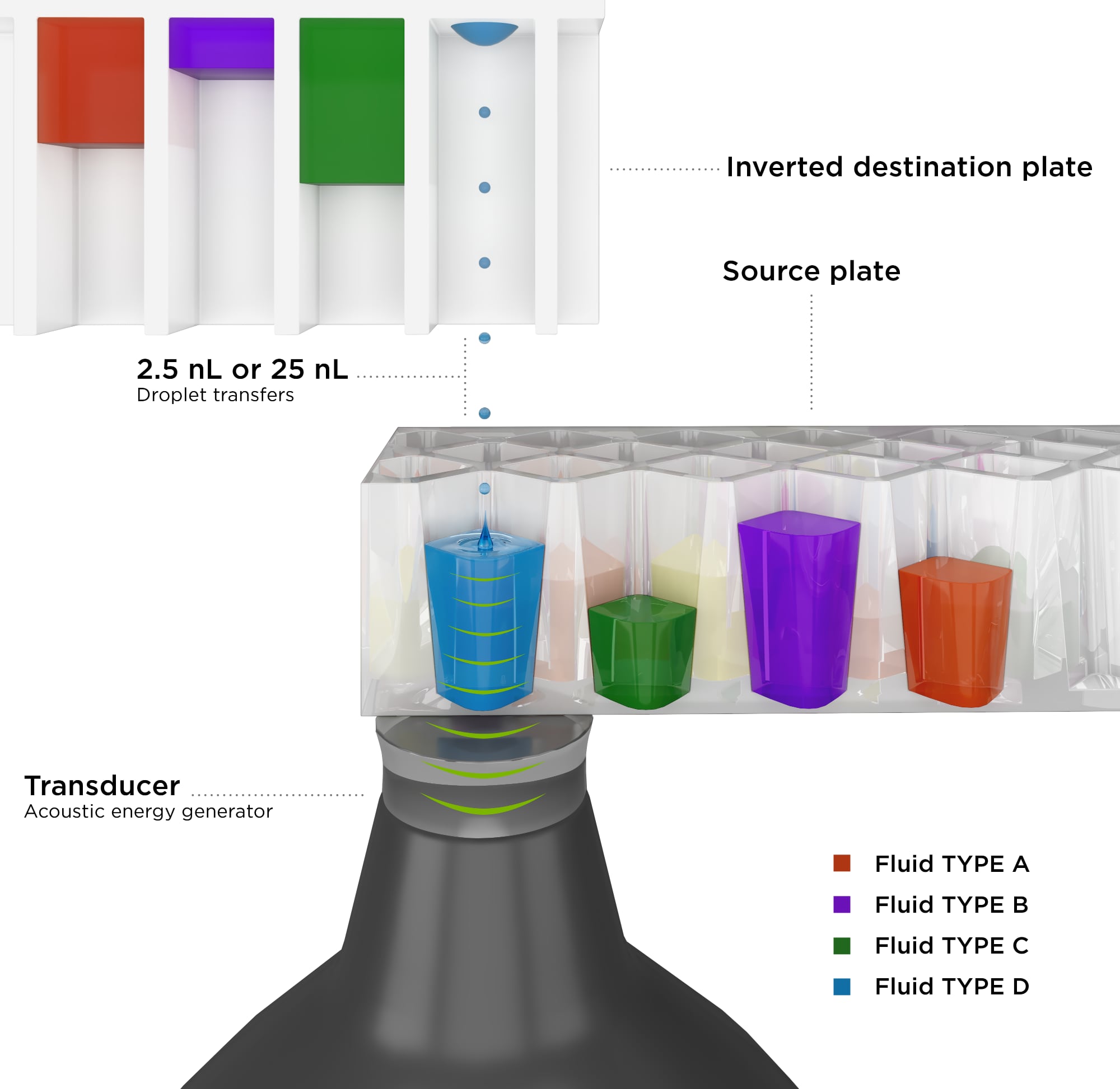 Acoustic droplet ejection - The transducer is positioned below the source microplate well and emits focused sound energy repeatably to the meniscus of the fluid to be transferred. A stream of 2.5 nL or 25 nL droplets (model dependent) is reliably ejected into a well of an inverted destination microplate.