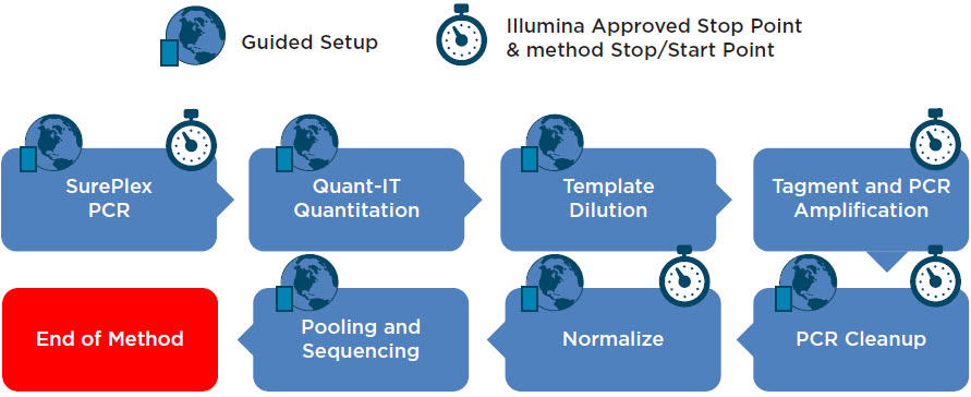 Figure 2. SurePlex PCR and VeriSeq Library Prep Kit workflow
