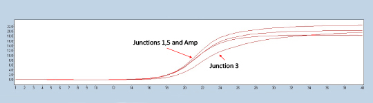 Figure 2. Lightcycler 480 trace of a representative construct testing positive for all three experimental junctions in comparison to the ampicillin marker control.