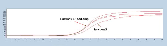 Figure 2. Lightcycler 480 trace of a representative construct testing positive for all three experimental junctions in comparison to the ampicillin marker control.