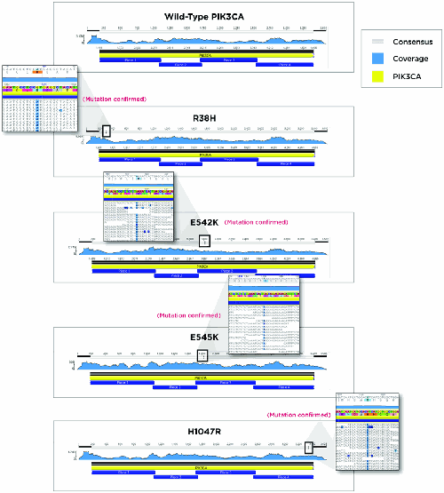 Figure 3. Illumina MiSeq reads from each of the five constructs aligned against the wild-type (unmutated) PIK3CA gene. Sequence coverage and location of the determined mutation are shown in the consensus bar at the top of each window. A magnified region containing the mutated amino acid residues are shown next to the four mutated versions of PIK3CA.