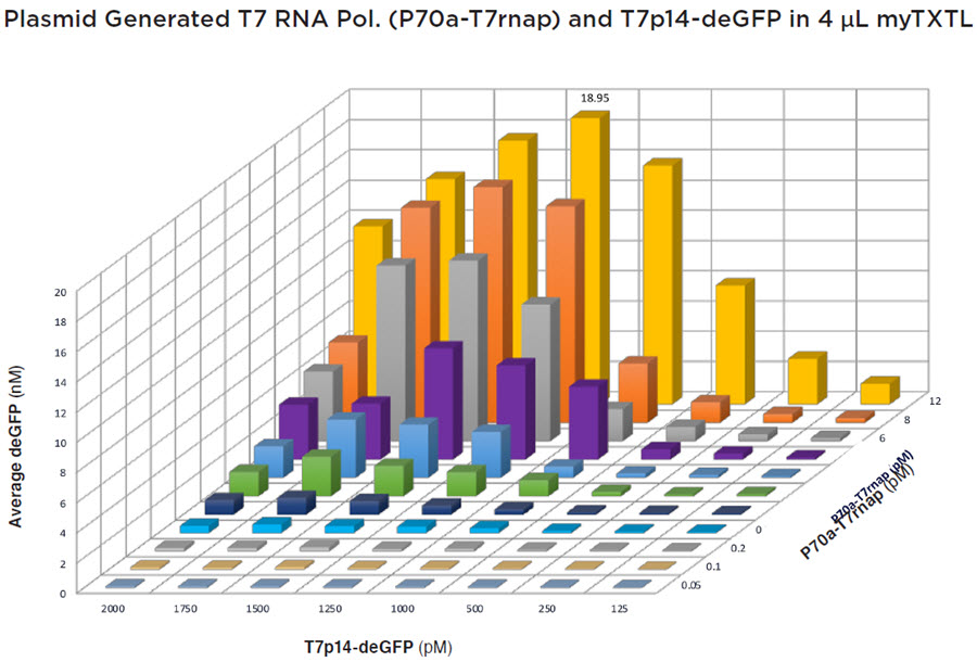 FIGURE 8: Multi-variable titration of the T7p14-deGFP and P70a-T7rnap plasmids into 4 μL myTXTL reactions after 7.5 h of incubation. Readings were taken on a BMG Labtech PHERAstar FS (λEx = 485 nm, λEm = 520 nm). Each point was done in quadruplicate and the plot had an average percent CV of 14.51%. Peak production was found to be at 1250 pM T7p14-deGFP and 12 pM P70a-T7rnap with an average deGFP concentration of 18.95 nM.