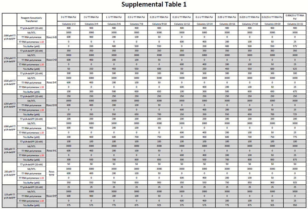 Supplemental Table 1. Volumes (nL) of acoustically transferred reagents for a multi-variable experiment containing exogenous T7 RNA polymerase and T7p14-deGFP tested in 4 μL myTXTL reactions. The source plate for transfers was an Echo Qualified 384-Well Polypropylene Microplate. The T7 RNA polymerase was dispensed using the 384PP_Plus_AQ_GP calibration with the rest of the reagents being dispensed using the 384PP_Plus_AQ_BP calibration. The reactions were then set up in quadruplicate in a Greiner 384-Well Microplate, Polystyrene, F-Bottom®, Black-Walled assay plate.