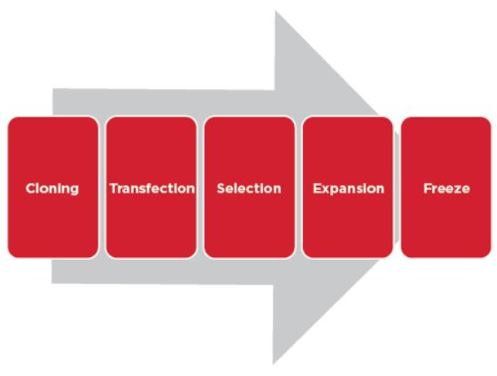 Automation Application Note Cell Line Development Cloning