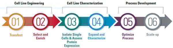Learn about the solutions for each critical step of the process of developing a mammalian cell line for recombinant protein manufacturing using a methotrexate (MTX) amplification system, one of many integrated transfection methods by Beckman Coulter.