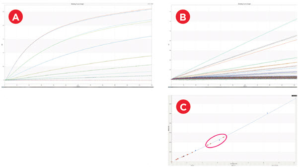 IgG Quantification