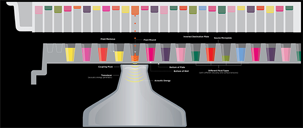 Dynamic fluid analysis, Echo acoustic technology