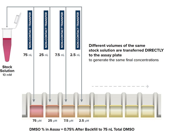 Echo Direct Dilution