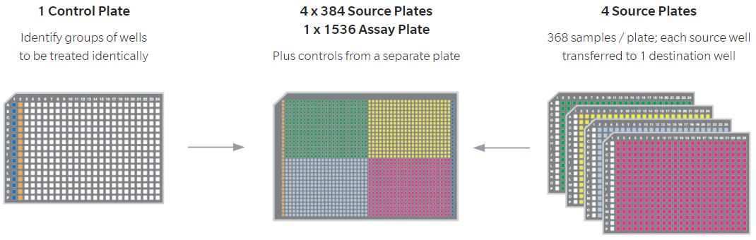 Automatisierungssoftware Echo-Plattenumformatierung Vereinfachter PCR-Arbeitsablauf Platten