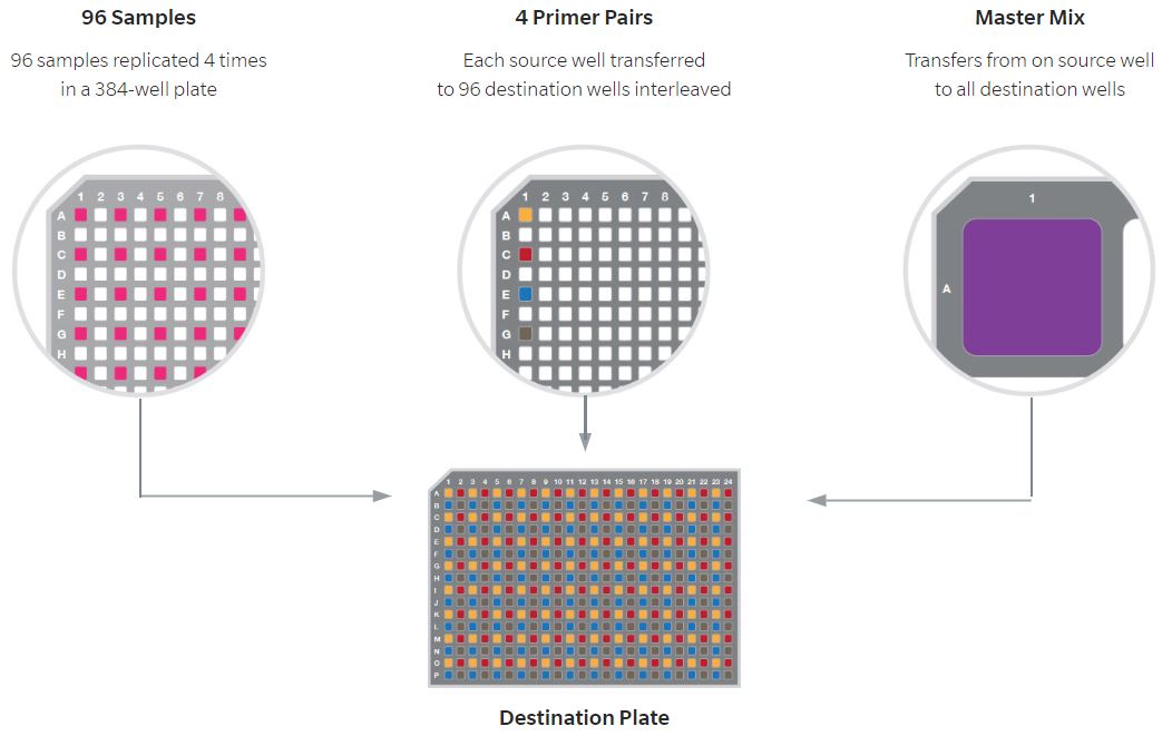 Logiciel d'automatisation Echo Plate Reformat : flux de travail PCR simplifié