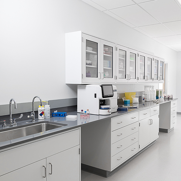 Vi-CELL BLU Cell Viability Analyzer in the laboratory