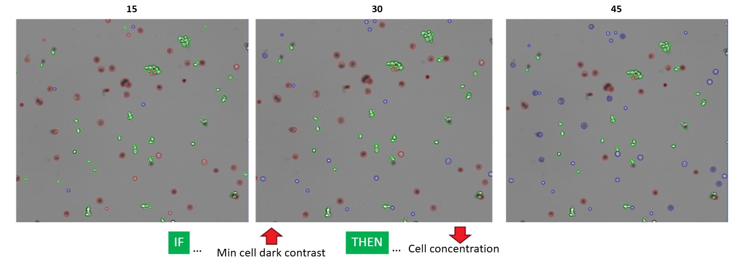 Vi-CELL BLU 2.0 minimum cell dark contrast comparison showing effects on cell detection and annotated cell classification