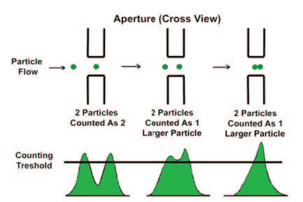 coulter principle - Effect of primary coincidence.