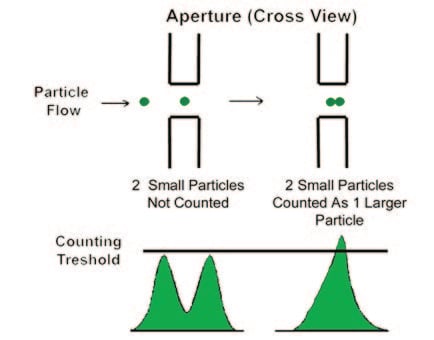 coulter principle - Effect of secondary coincidence.