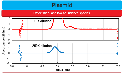 Detection of high- and low-abundance species by absorbance DGE-AUC