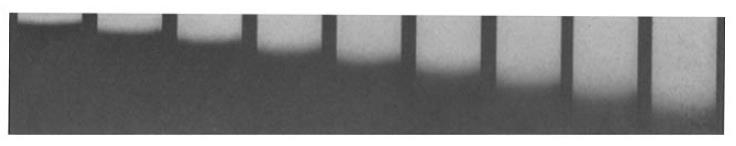 Sedimentation of crystalline egg albumin in 1% solution at a speed of 60,000 RPM; photographs taken at 20-minute intervals