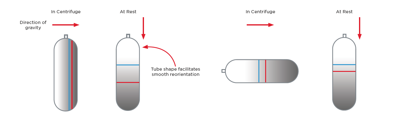 Rotation of density gradients after vertical rotor comes to rest