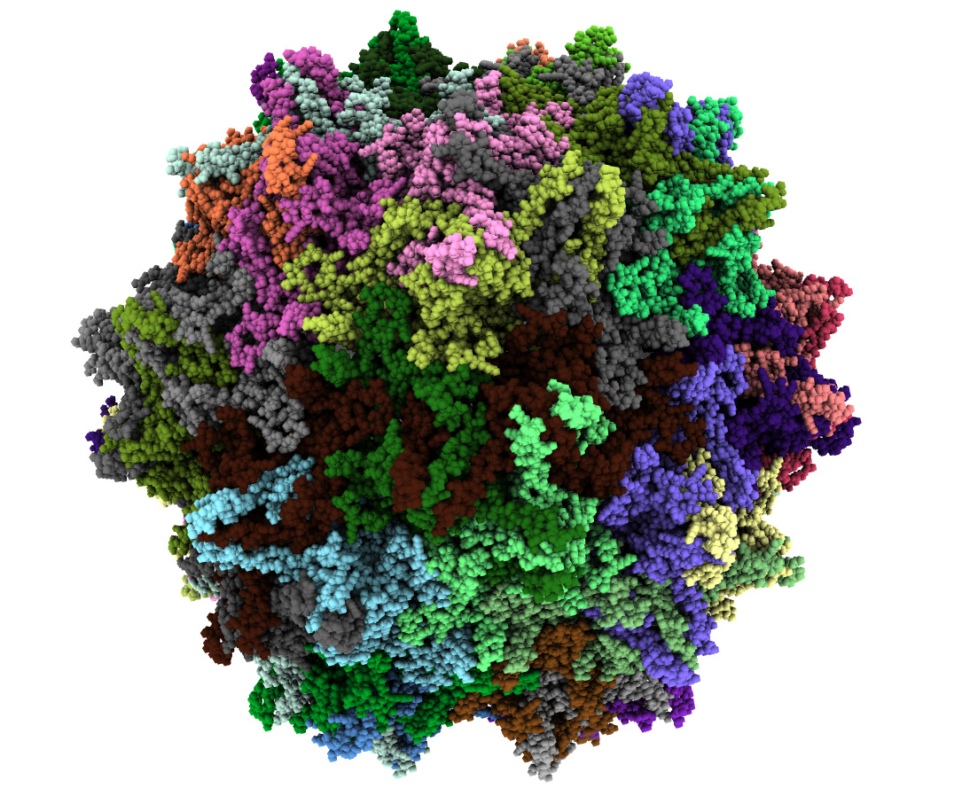 An introduction to the Optima Analytical Ultracentrifuge