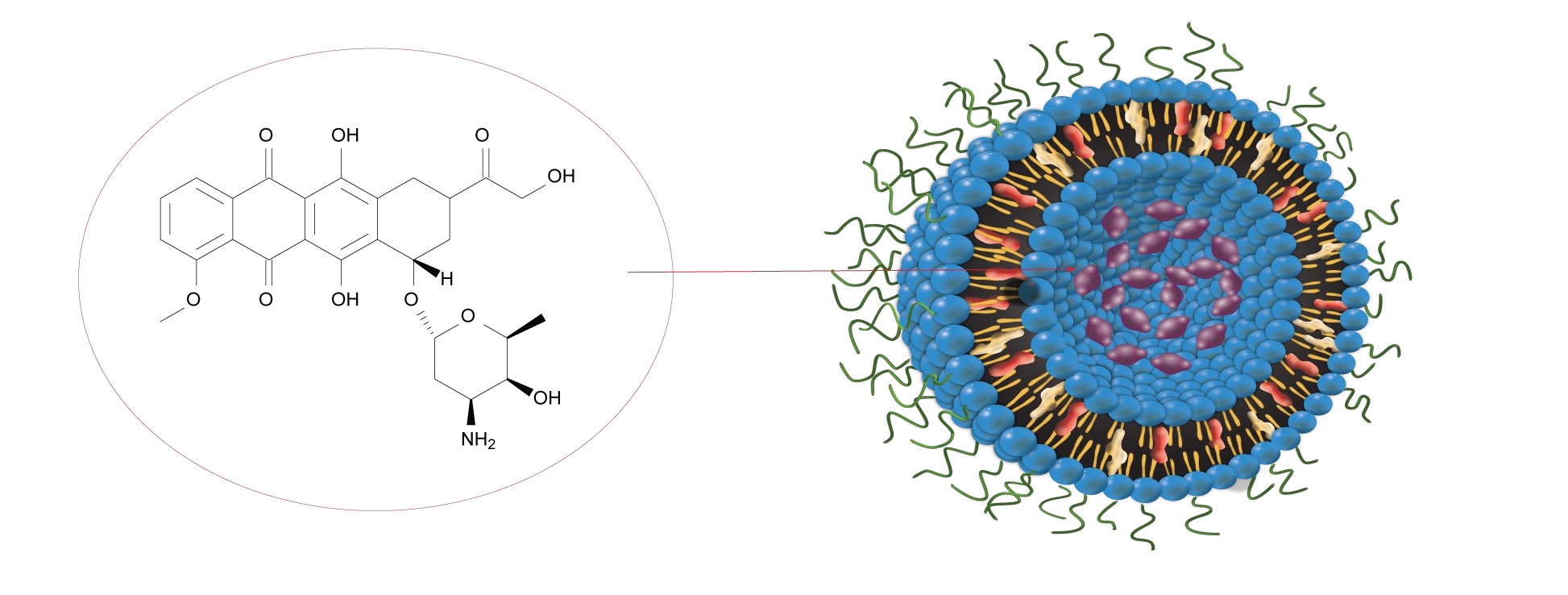 Multiwavelength AUC characterization & QC
