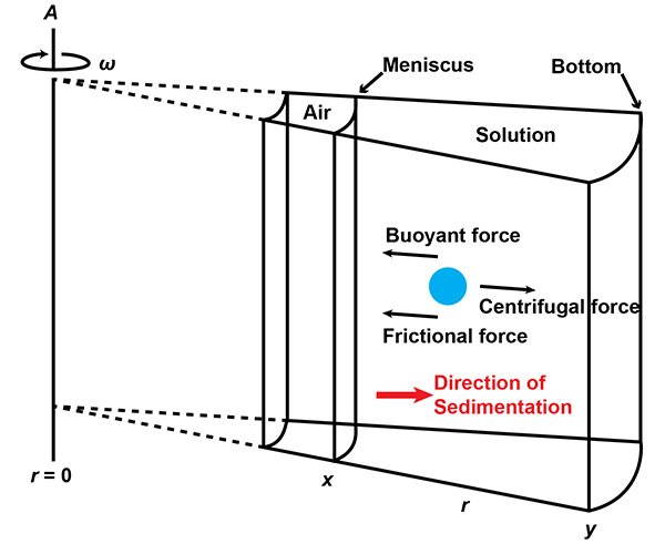 AUC: A Unique Characterization Technique