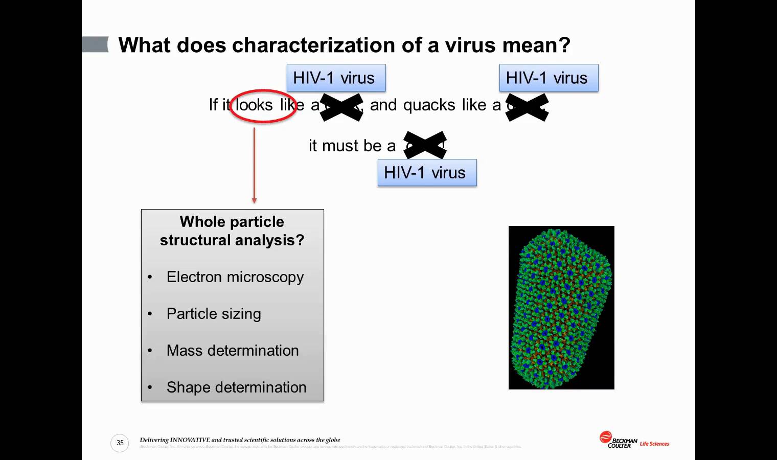 Characterizing Viruses: From Deadly Pathogens to the Workhorses of Gene Therapy