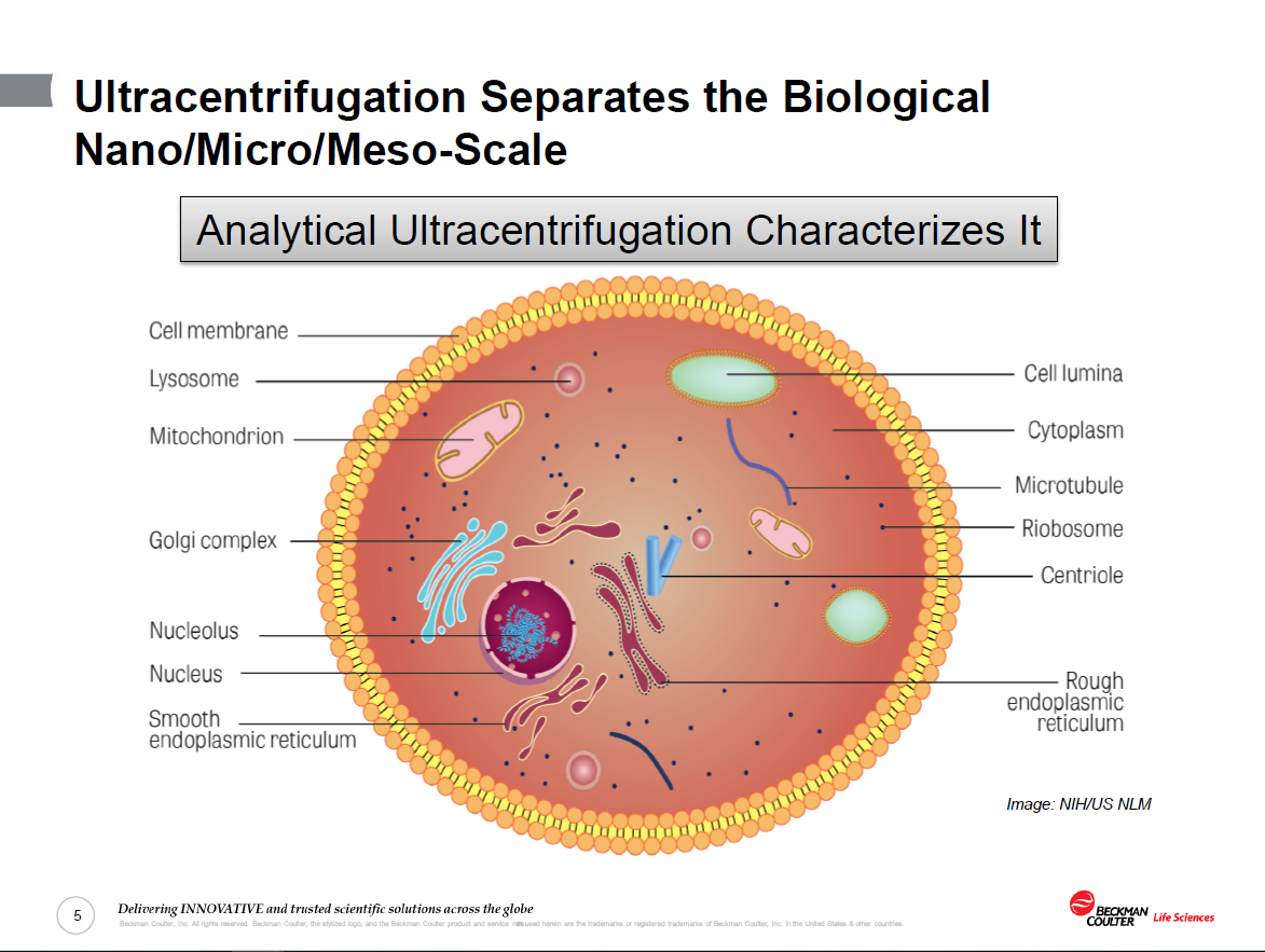 An Intro to Characterization of Biomolecules Using AUC