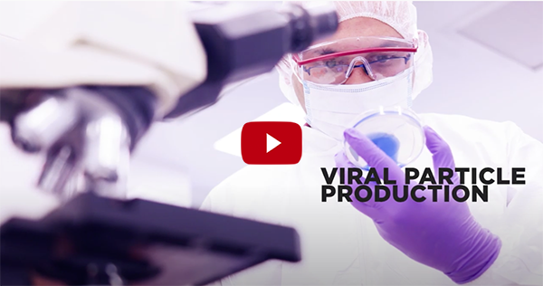 Viral Particle Production