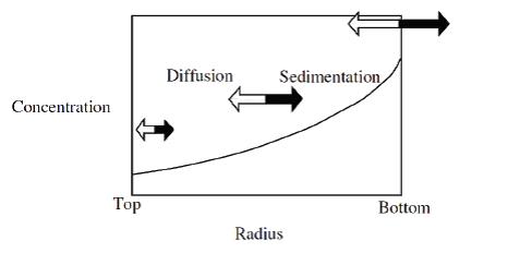 Sedimentationsgleichgewicht Bild AUZ-Formel