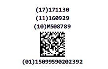 2D GS1 Data Matrix barcode