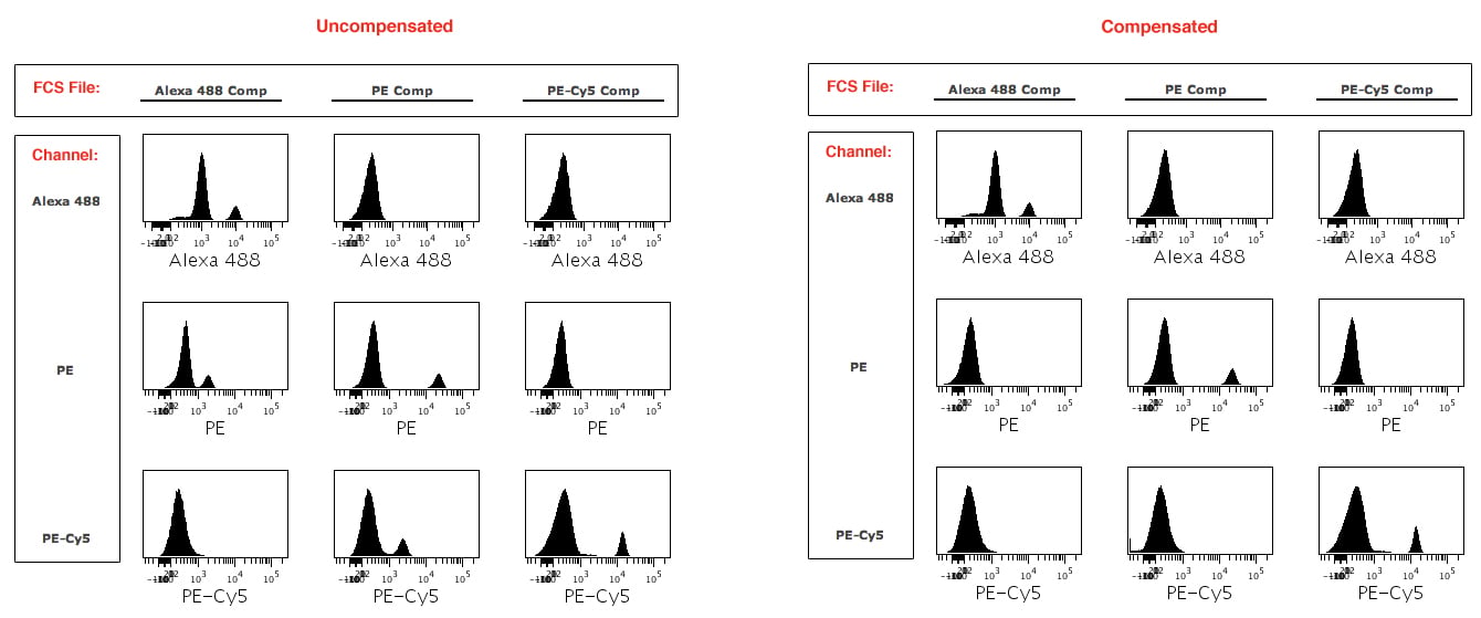 Assessing compensation using a single stain compensation control layout