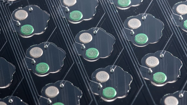 Microfluidic FlowerPlate for biolector xt microbioreactor