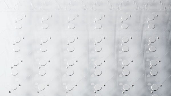 surface of Microfluidic FlowerPlate for biolector xt microbioreactor