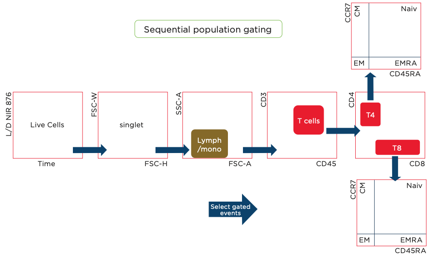 Sequential gating strategy for T-cell populations,