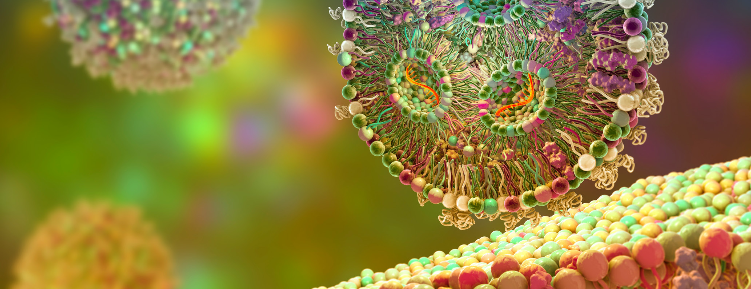 Lipid nanoparticle cell image