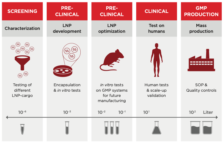 Main steps of LNP manufacturing