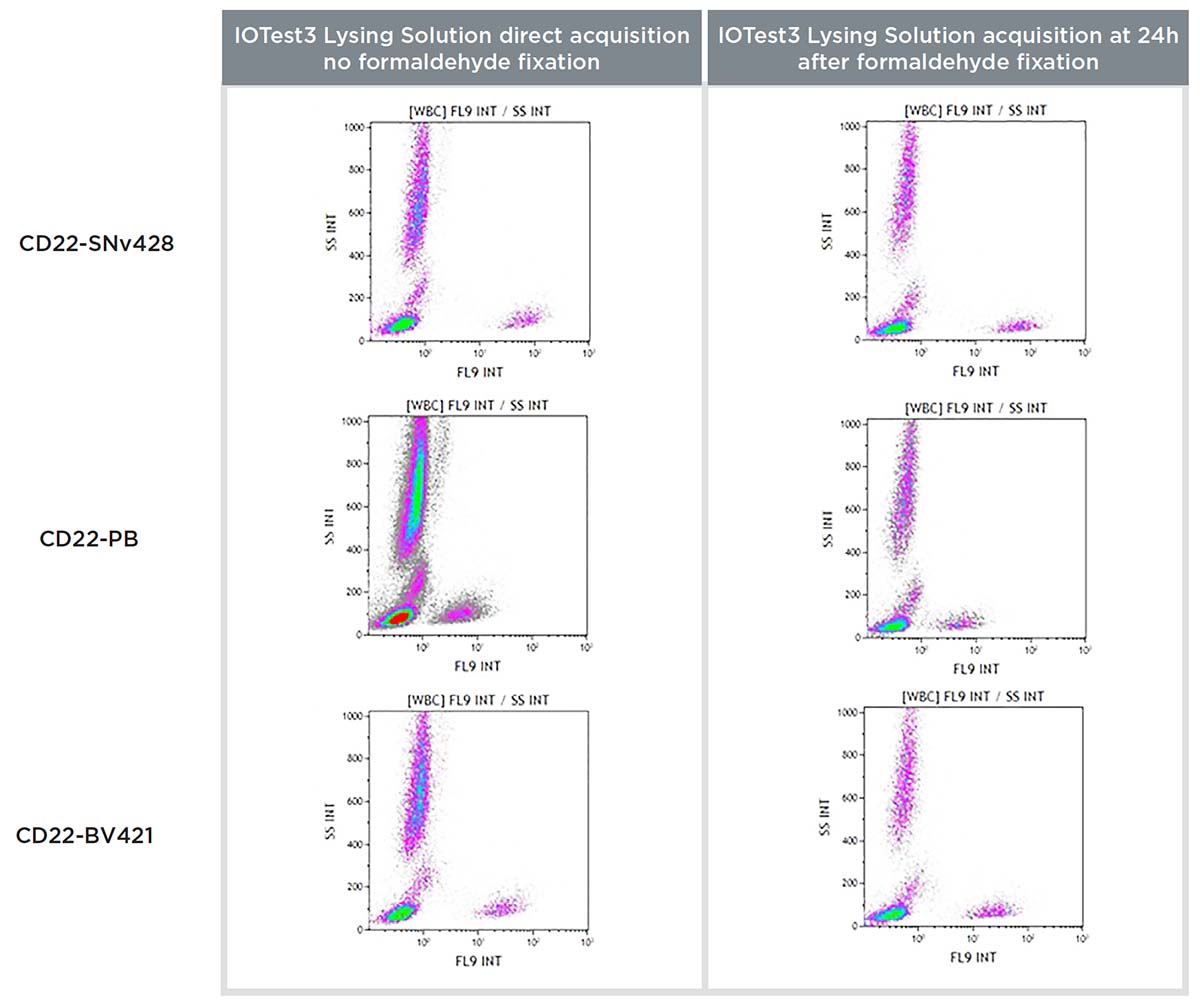 Flow cytometry staining data comparison of a CD22-SuperNova v428, Pacific Blue and BV421 staining on a normal whole blood sample with IOTest3 Lysing Solution, acquired without formaldehyde fixation directly and with formaldehyde fixation at 24h