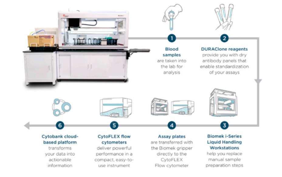 flow-cytomtery-workflow