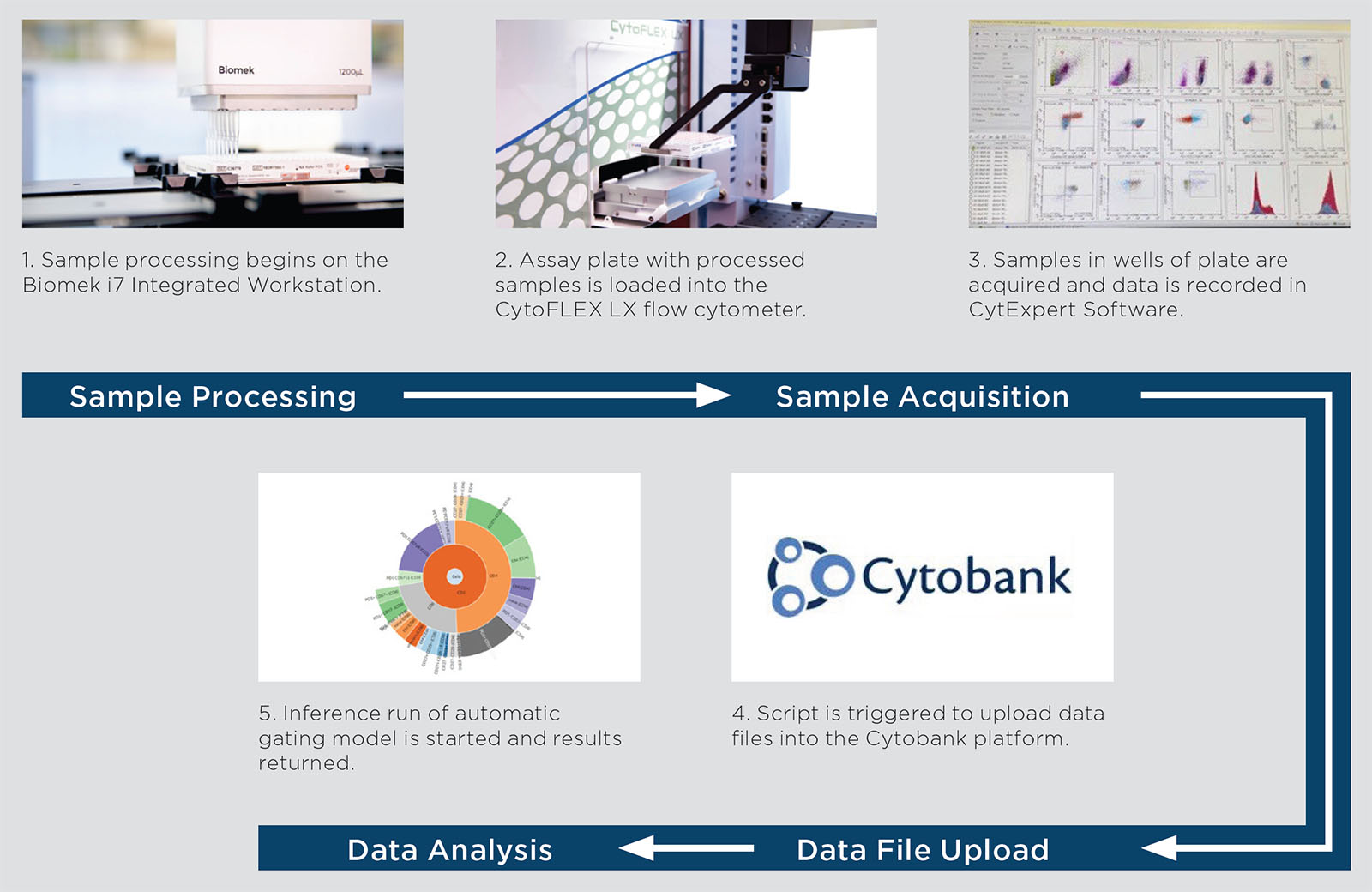 Fully automated flow cytometry workflow
